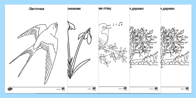 Раскраски Весна распечатать на А4