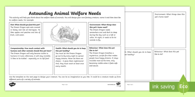 Astounding Animal Welfare Needs Activity (teacher made)