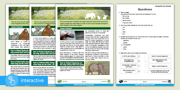 Interactive Animals Diff Reading Comprehension LKS2