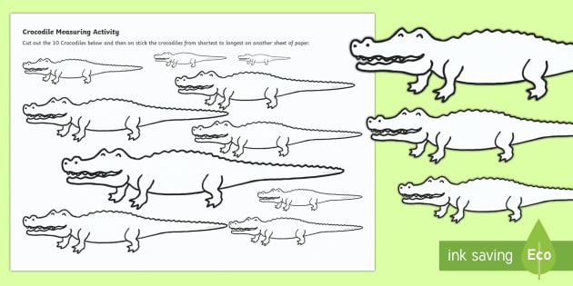 Crocodile Measurement Worksheet / Worksheet (teacher made)