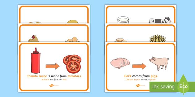 Where Does Food Come From Display Posters English Romanian