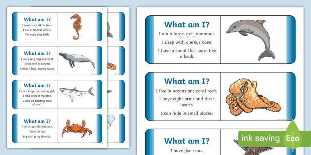 What am I? Sea Creature Themed Guessing Game KS1 Twinkl