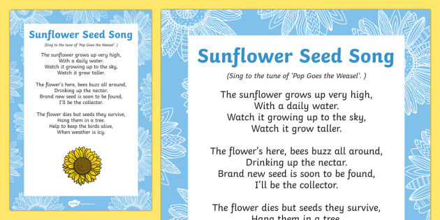 Sunflower Seed Song