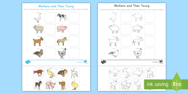 Mothers And Baby Animal Worksheets For Preschool - EYLF