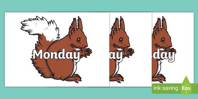 Days of the Week on Red Squirrels