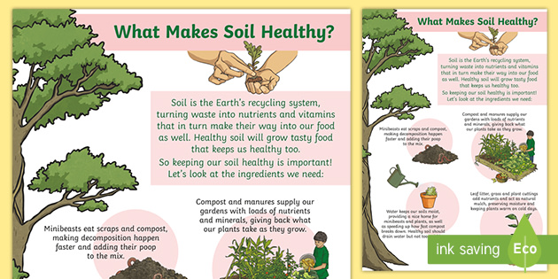 what-makes-soil-healthy-display-poster-teacher-made