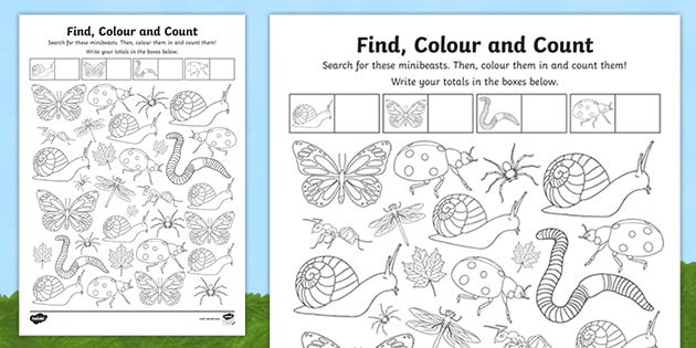 Minibeast Find, Colour and Count