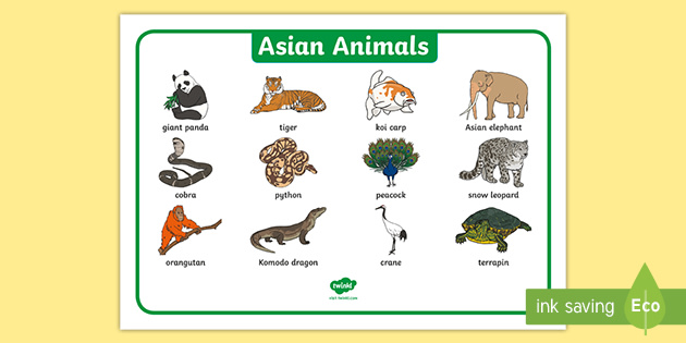 Asian Animals Word Mat (teacher made) - Twinkl
