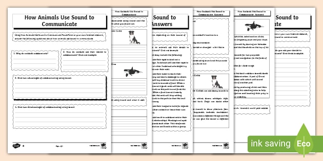 Worksheets on Animal Communication | CfE Resources | Twinkl