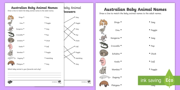 Australian Baby Animal Names Worksheet / Worksheet - Twinkl