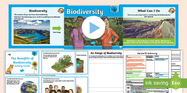 PSHE One World Lesson 5: UKS2 Biodiversity Lesson Pack
