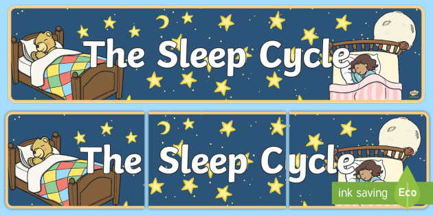 Cfe 1st Level Sleep Cycle Banner Health And Wellbeing Sleep