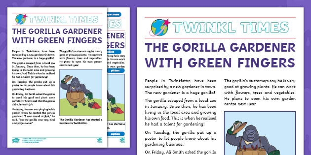 the-gorilla-gardener-newspaper-report-example-teacher-made