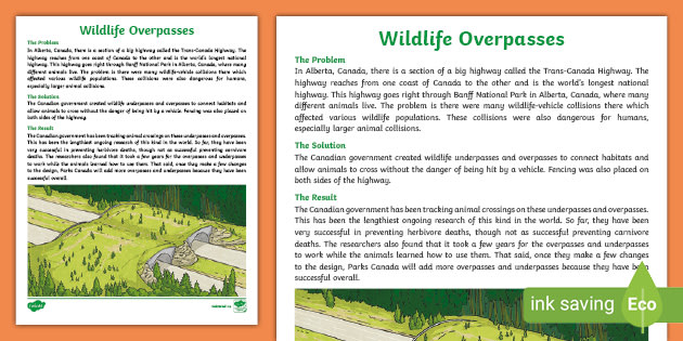 Wildlife Overpasses Fact Sheet