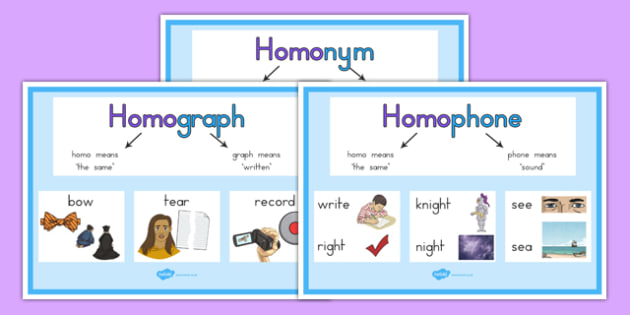 homograph and homophone explanation display posters australia