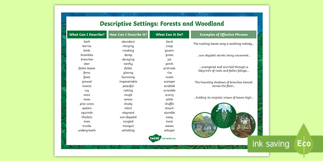 KS2 Descriptive Setting Word Mat: Forests and Woodland