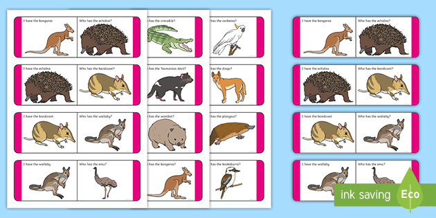 Australian Animals Vocabulary Loop Cards (teacher made)