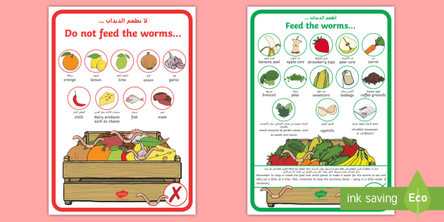 What To Feed Worms In A Wormery Display Posters Arabic/English