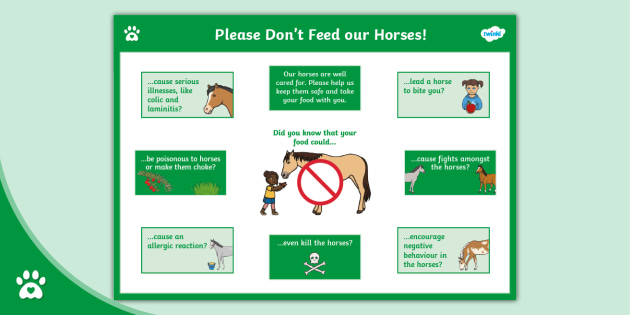 Don't Feed the Horses - Display Poster - Twinkl Pets
