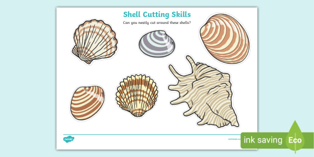 Shell Cutting Skills Activity Teacher Made Twinkl