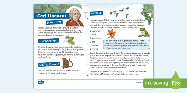 Carolus Linnaeus Education