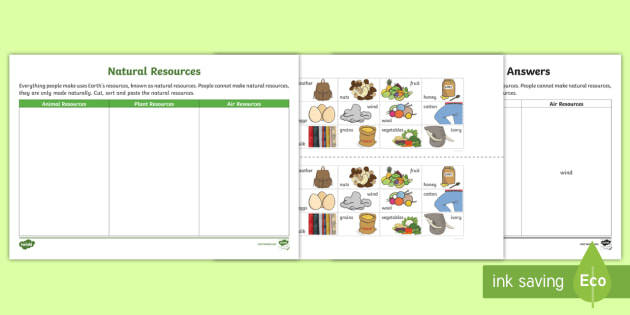 natural resources science sorting worksheet worksheet