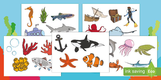 Under the Sea Display Cut-Outs (teacher made) - Twinkl
