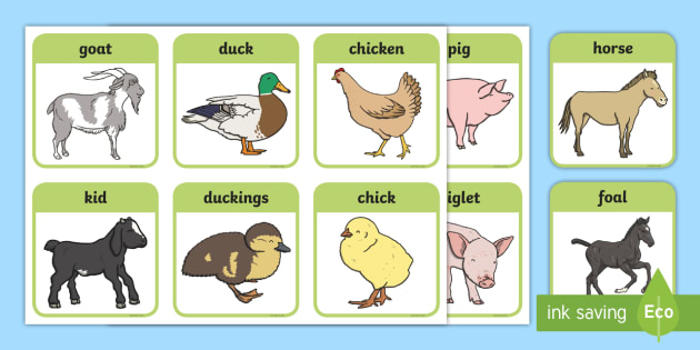 Farm Animals Printable Cards