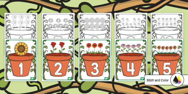 Flower Pot Number Cards 0-10 (teacher made)