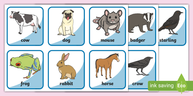 Animals in Scots - Teacher-made Game for Primary Children