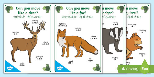 Woodland Animal Movement Cards English Mandarin Chinese