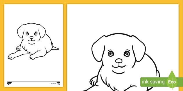 Labrador Puppy Coloring Page – Coloring Pages – Twinkl