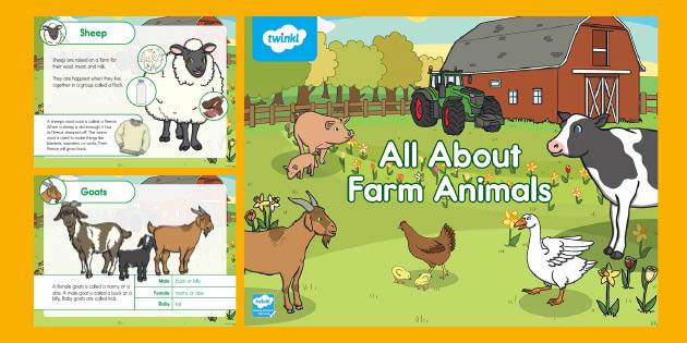 All About Farm Animals PowerPoint | K-2 Science Resources