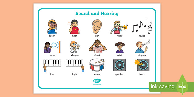 FREE! - Sound And Hearing Word Mat (teacher made)