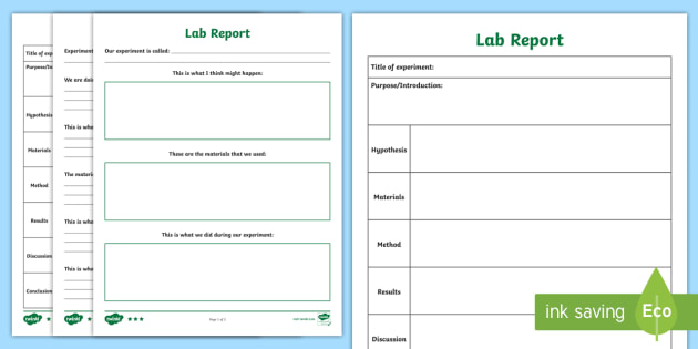 how to set up a science lab report