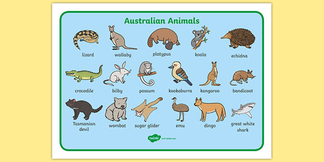 Australian Animals Word Mat | Australian Animals With Words