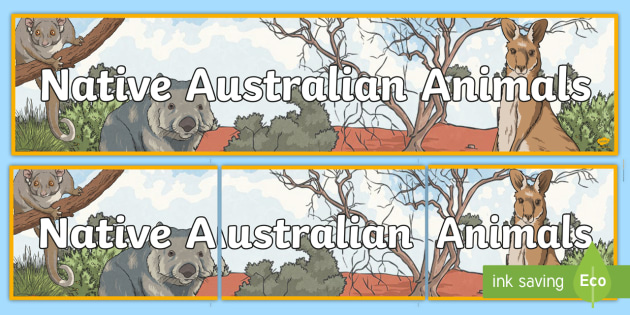 Australian Animal Decor - Australia (teacher made) - Twinkl