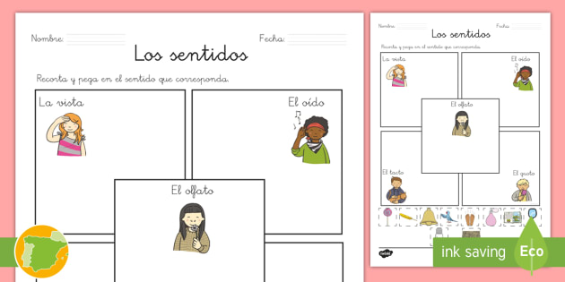 Ficha De Actividad: Los Sentidos (teacher Made)