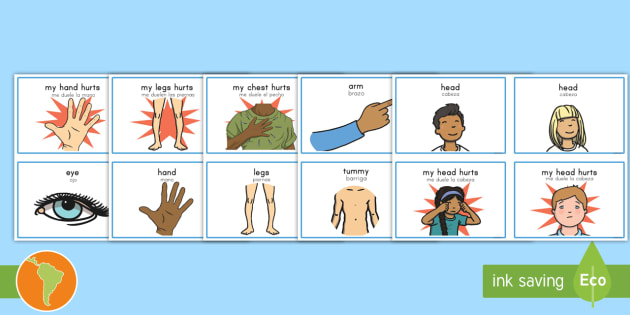 Parts Of The Body Communication Cards English/Spanish