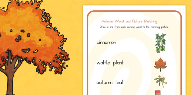 Autumn Word And Picture Matching Worksheet