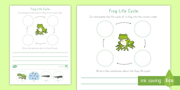 life cycle of a frog worksheet for kids in k 2 science
