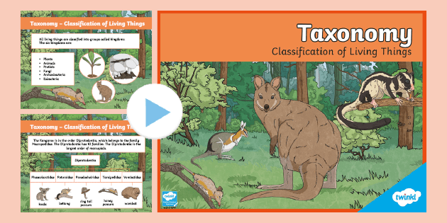 Taxonomy Resource | Animal Kingdom PowerPoint Presentation