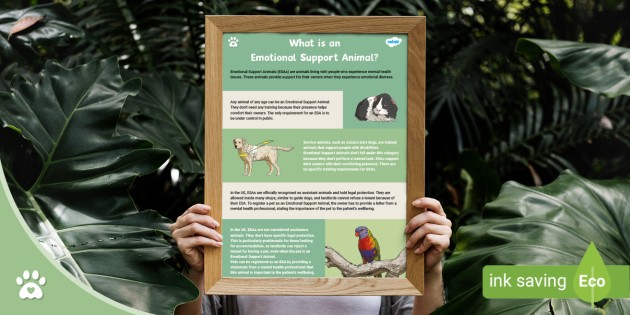 What Is An Emotional Support Animal? - Information Sheet