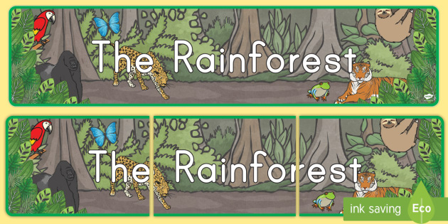 Rainforest Banner Teacher Made