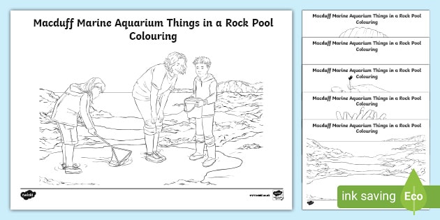 Aquarium Creatures Colouring Activity for Children