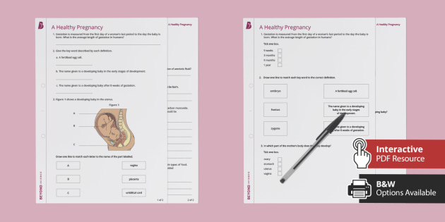 a-healthy-pregnancy-worksheet-human-reproduction-beyond