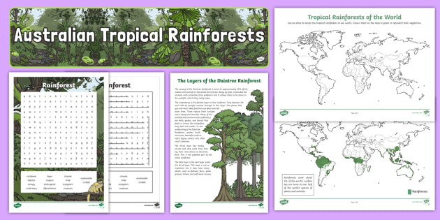 Environments - Rainforests Resource Pack (teacher made)