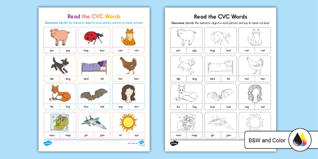 CVC Word Wall Colorful CVC Words Phonics Bulletin (Instant