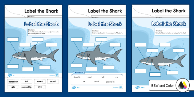 Play Word Shark Parts of Speech Free Language Arts Game for Kids