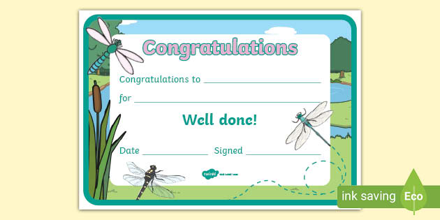 Dragonfly Certificate